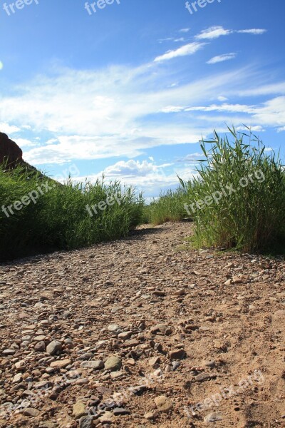 Australia Landscape Reeds Nature Country