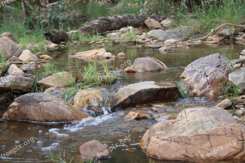 Australia Landscape Reeds Nature Country