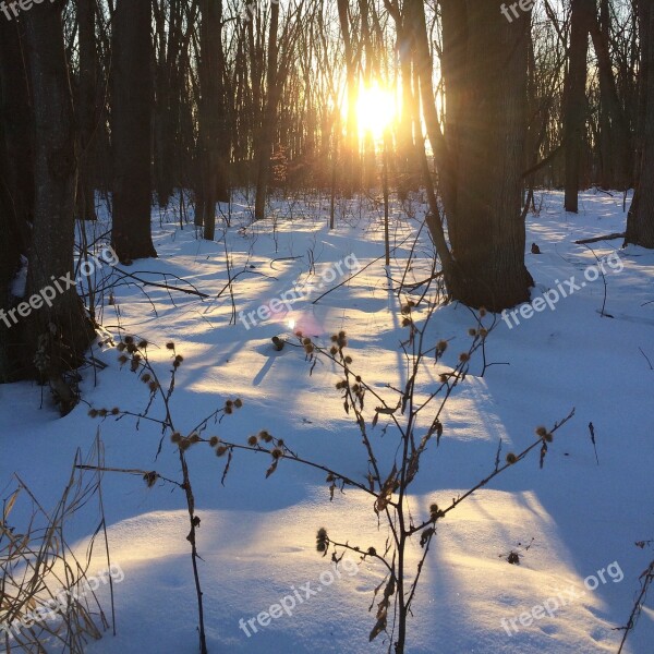 Winter Québec Canada Free Photos