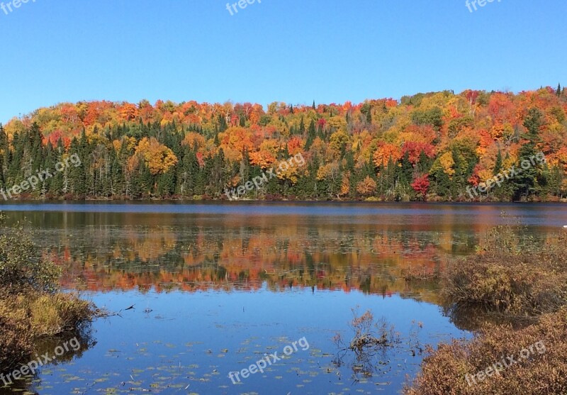 Fall Québec Nature Lake Landscape