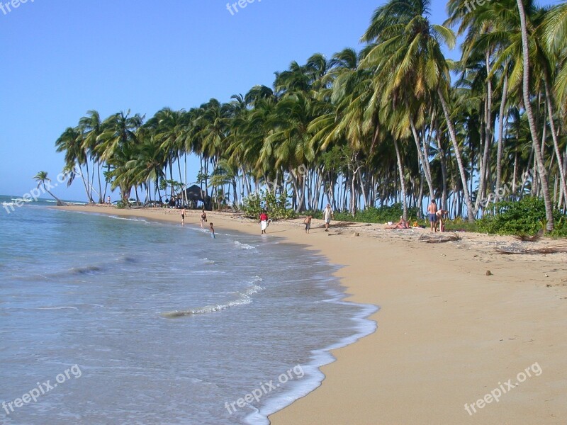 Holiday By The Sea Atlantic Dominican Republic Free Photos