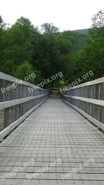 Boardwalk Planks Wooden Path Trail