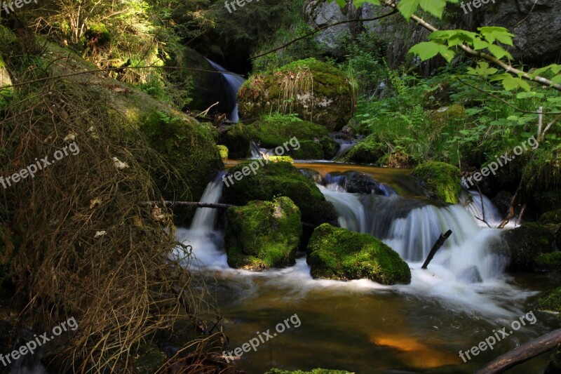 Rock Moss Bach Water Nature