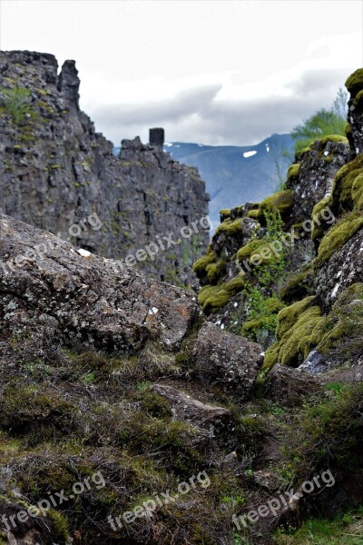 Moss Moody Rock Cliff Ancient