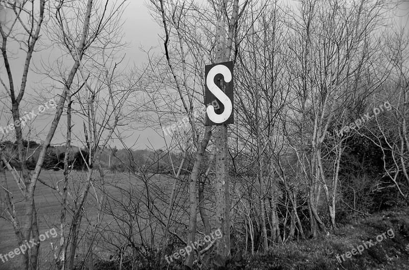 Row Of Trees Wood Trees Nature Field