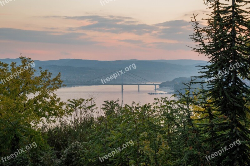 Novi Sad Serbia Danube Freedom