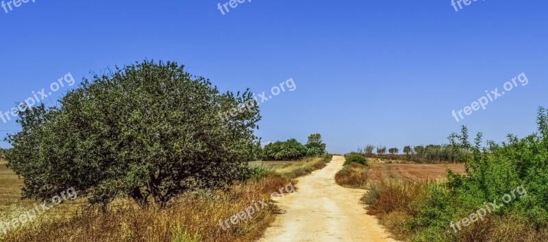 Country Road Countryside Road Rural Landscape