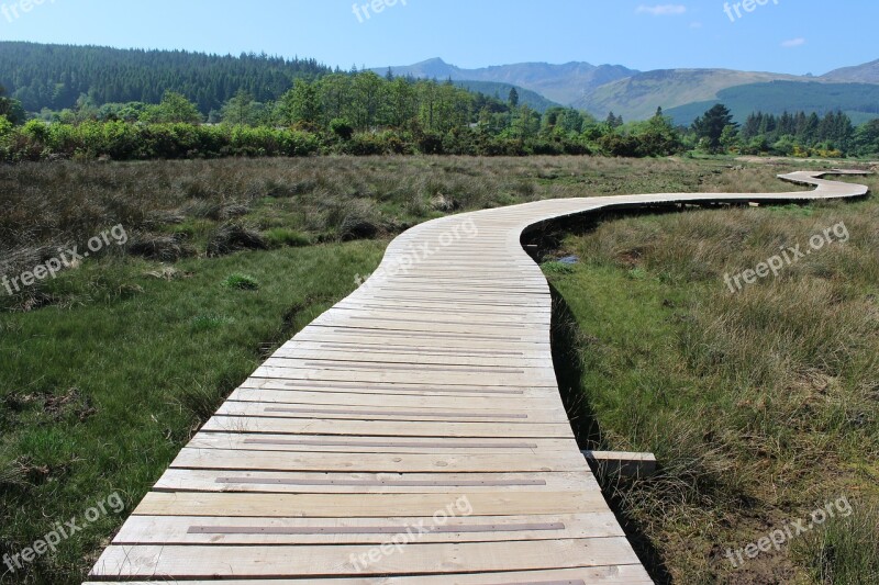 Arran Path Way Wood Trail