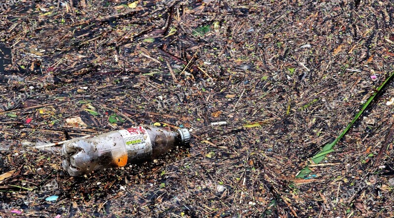 Bottle Waste Pollution Garbage Litter