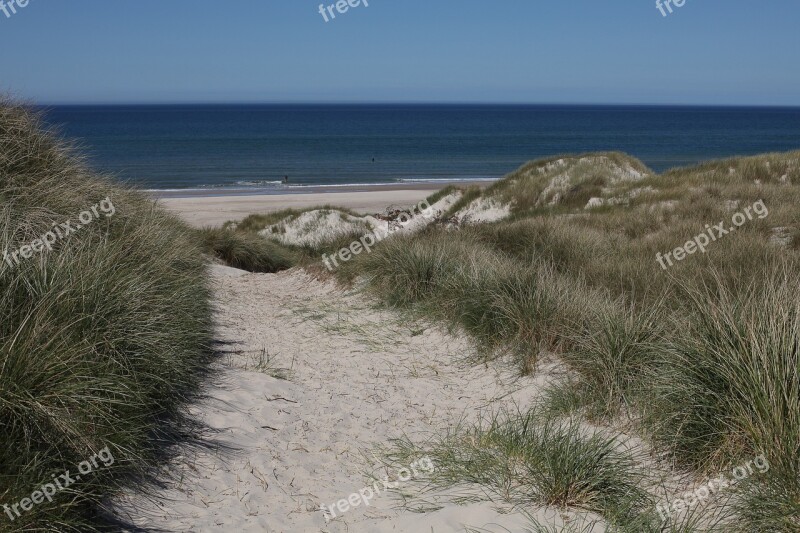 Dune Dunes Sand Dunes Sand Nature