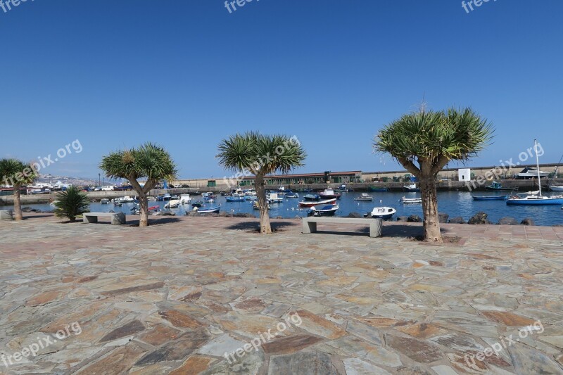 Port Skewness Spain Palm Trees Free Photos