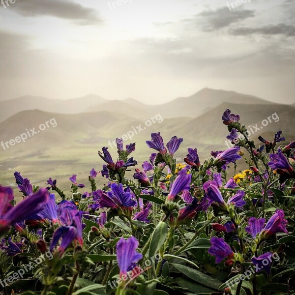 Lanzarote Volcanoes Volcano Canary Landscape