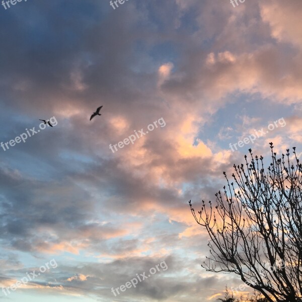 Autumn Sky Clouds Season Fall