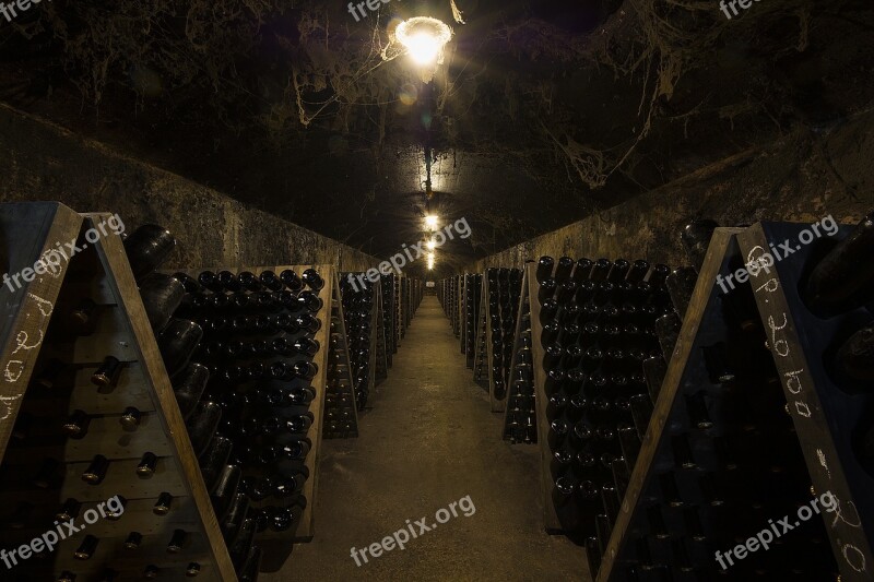 Caves Anadia Bairrada Wines Pupitres