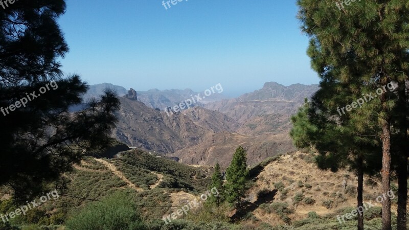 Nature Canary Islands Spain Gran Canaria Mountain