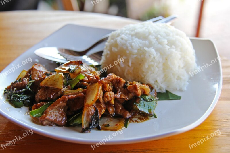 Rice Pork Meat Lunch Yummy