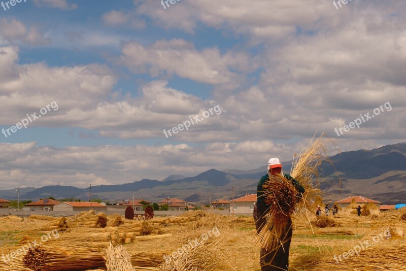 Erciyes Reedy Cloud Free Photos