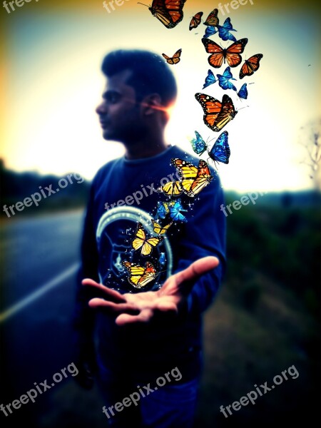 Surrealism Butterfly Boy Man Free Photos