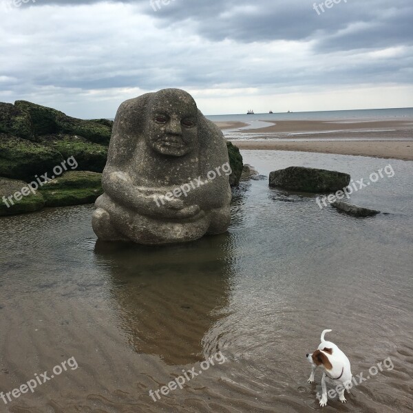 Watching Dog Beach Jack Russell Watching You