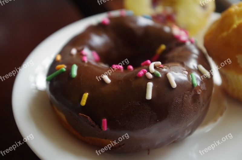 Donuts Dessert Dim Sum Free Photos