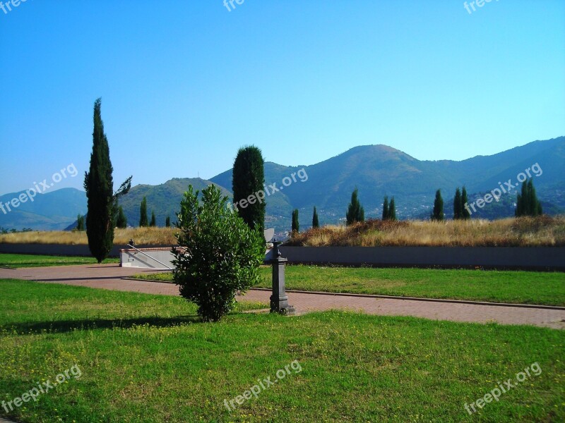 Cypress Trees Cemetery Cypress Free Photos