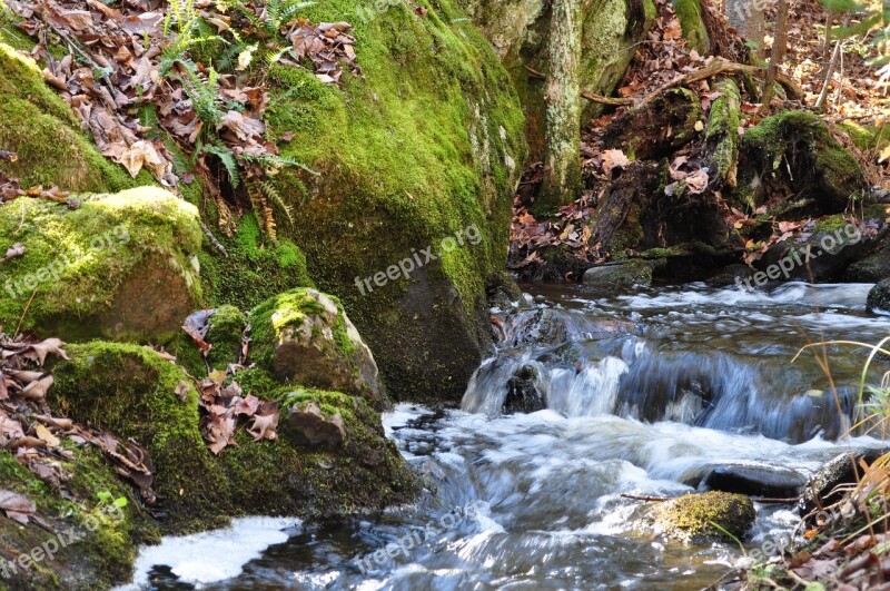 Waterfall Brook Forest Free Photos