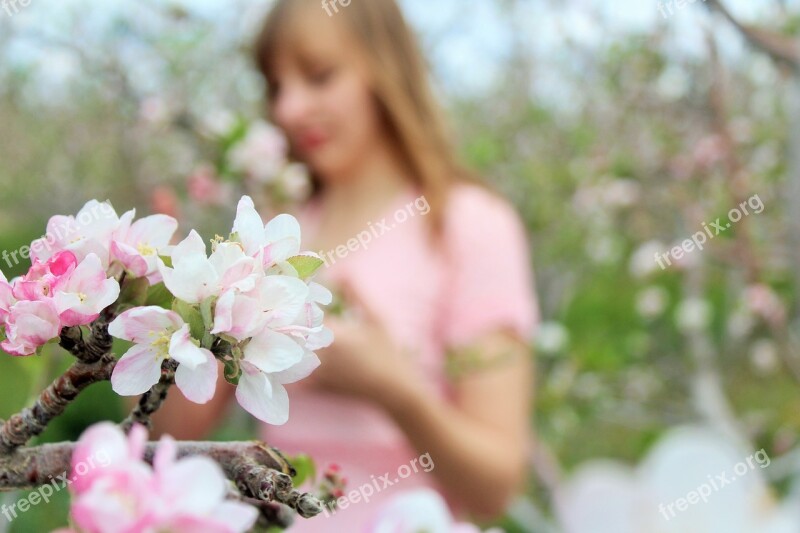 Girl Portriat Flowers Young Lady