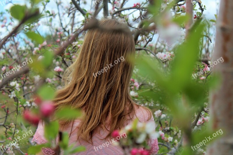 Girl Portriat Flowers Young Lady