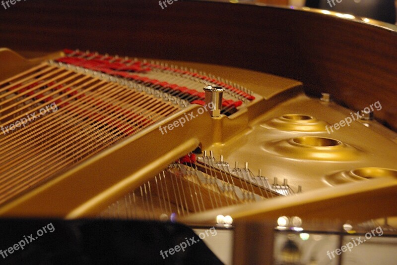 Piano Strings Strings Piano Musical Instrument Instrument