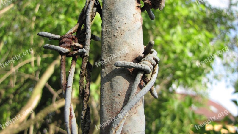 Rust Barbed Wire Fence Apex Risk