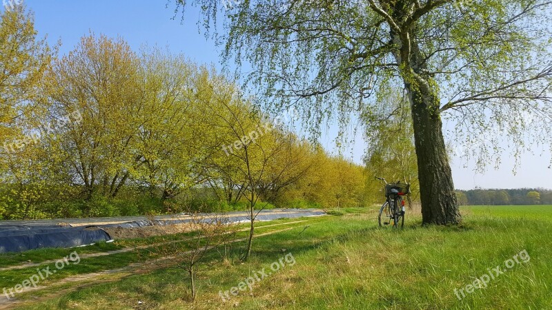 Nature Landscape Bike Sky Green