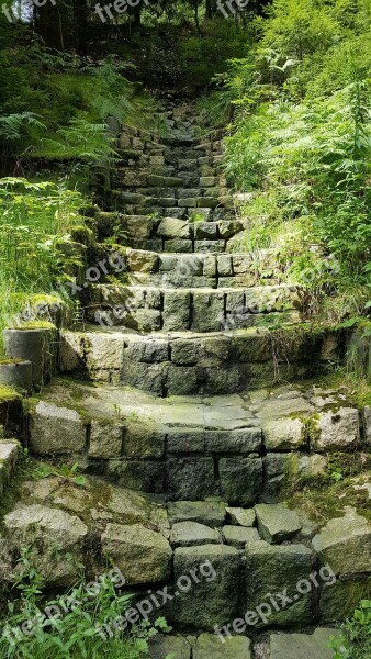 Stairs Stone Stairway Hiking Gradually Rise