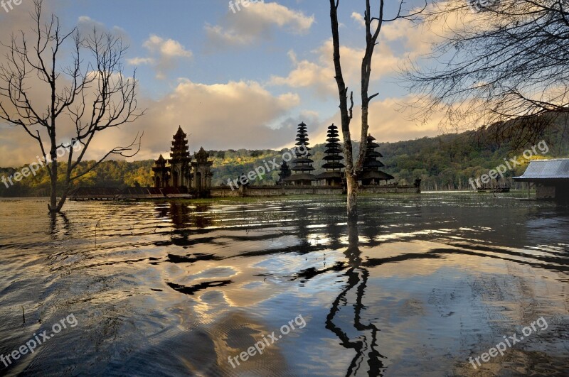 Water Tree Mood Panorama Rest