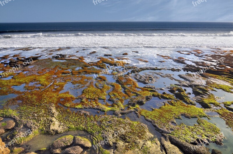 Sea Beach Beach Sea Water Seaweed