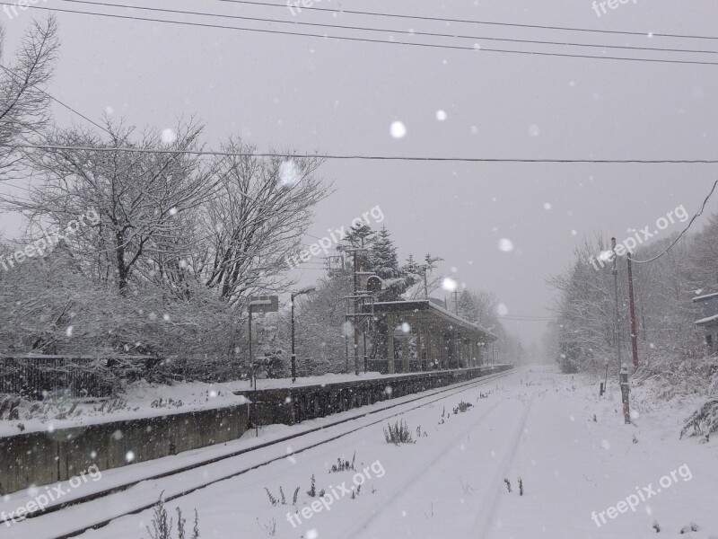 Japan Winter Snowing Onuma Park Free Photos