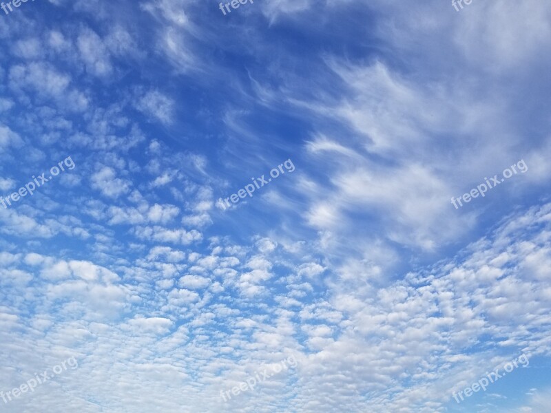 Sky Cloud Blue Clouds Sky White