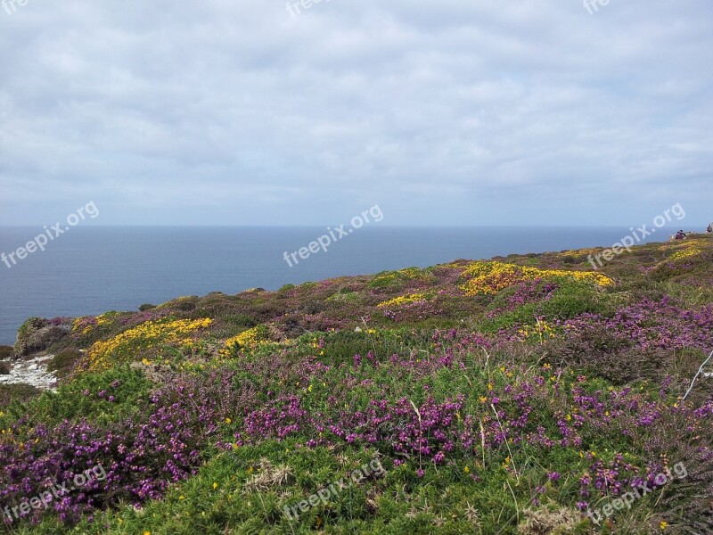 Lande Bretonne Brittany Sea Horizon Finistère