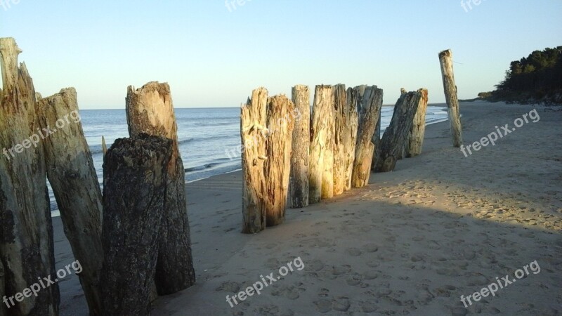 Driftwood Stakes Trunks Beach Sand