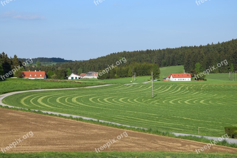 Spring Meadow Landscape Harvest Ensiling