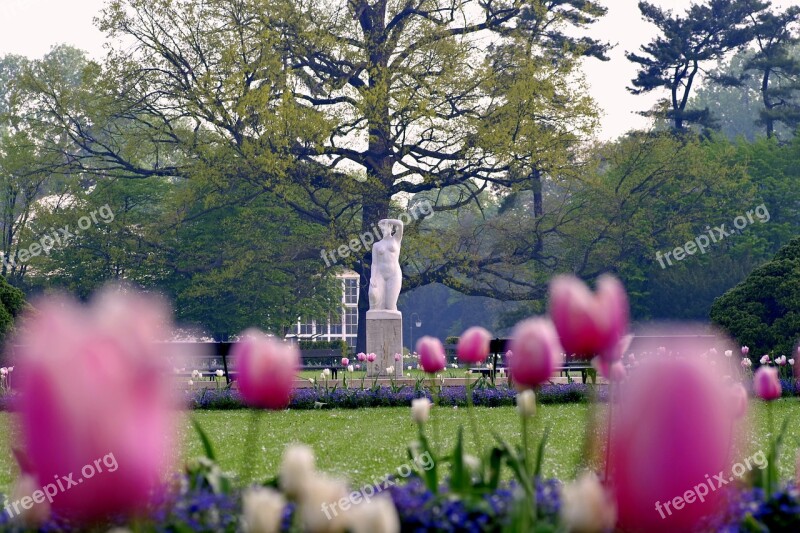 Park Sculpture Flowers Garden Tree