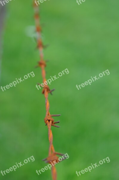 Wire Rust Metal Iron Fence