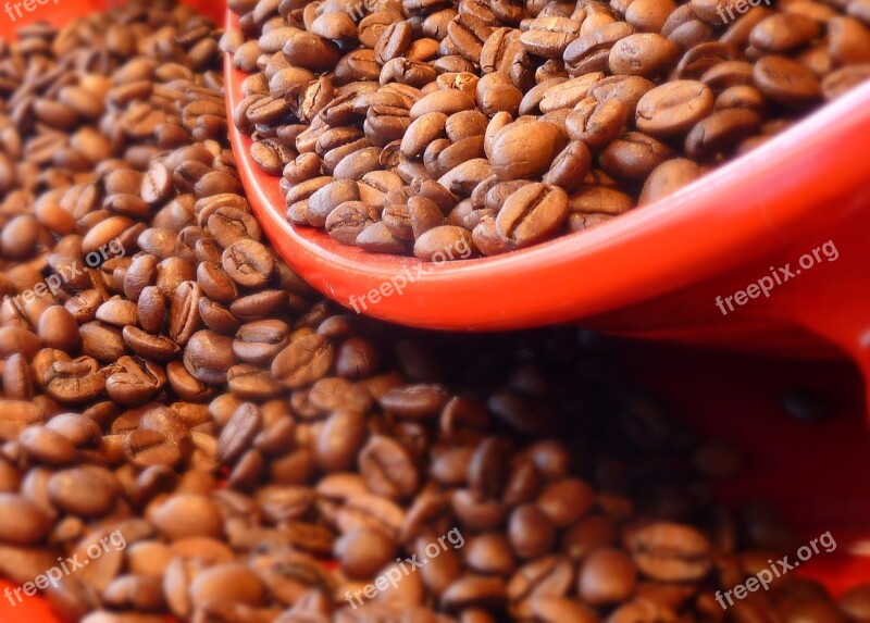 Coffee Coffee Beans Aroma Caffeine Roasted