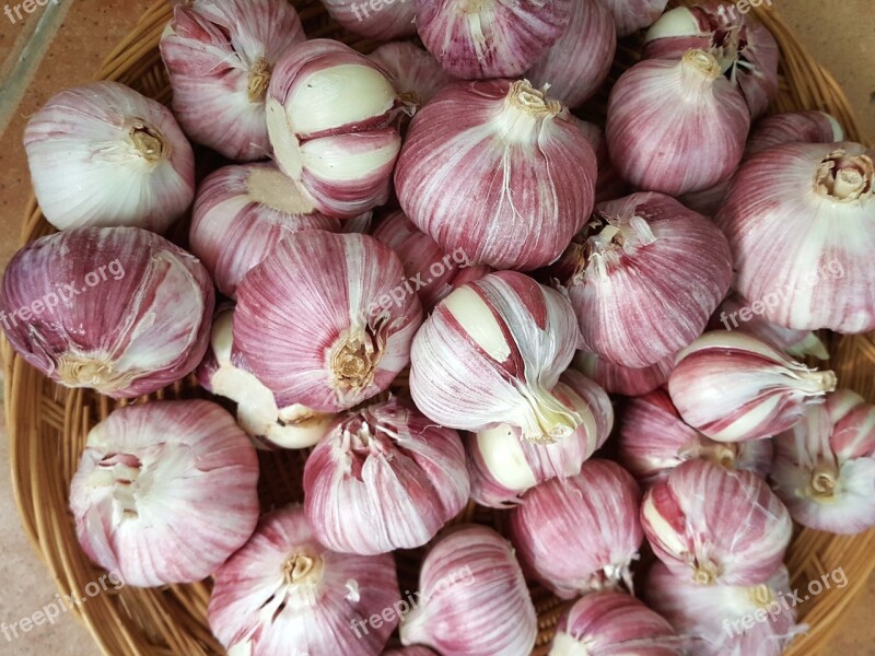 Garlic Power Seasoning Free Photos