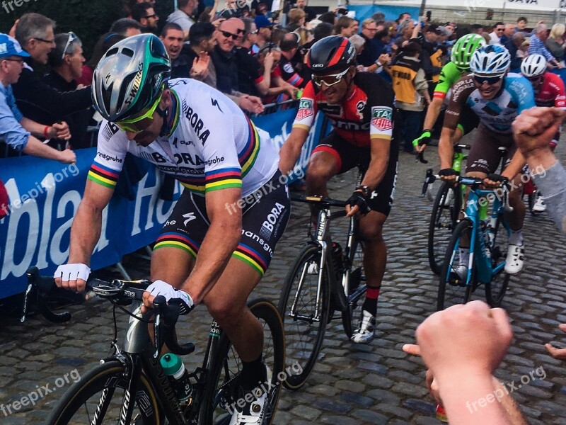 Peter Sagan Professional Cyclist Racing Tour Of Flanders World Champion