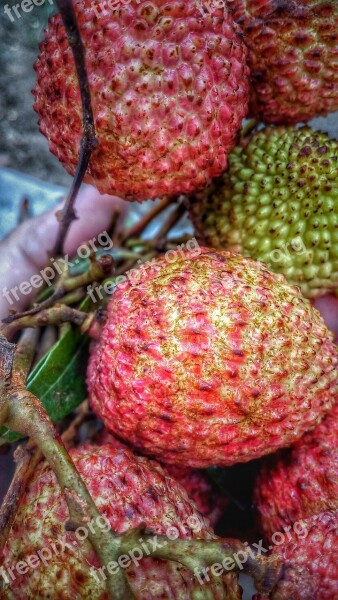 Litchi Fruits Nature Food Exotic