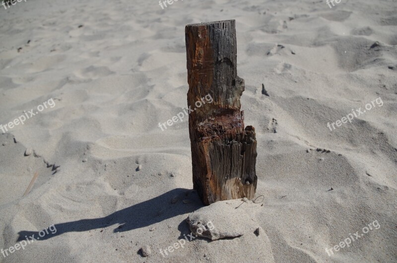 Beach Drift Wood Flotsam And Jetsam Sand Driftwood