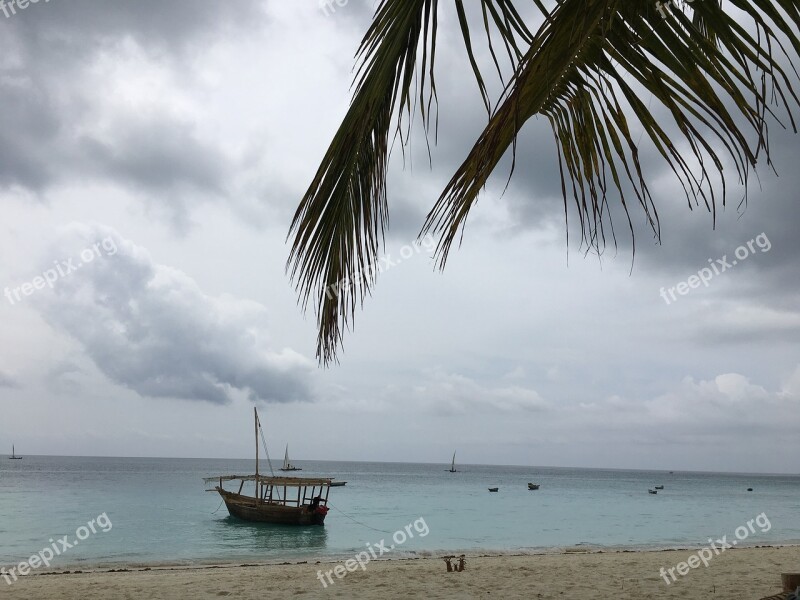 Zanzibar Ocean Africa Free Photos