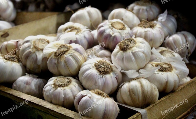 Garlic Market Vegetables Food Healthy