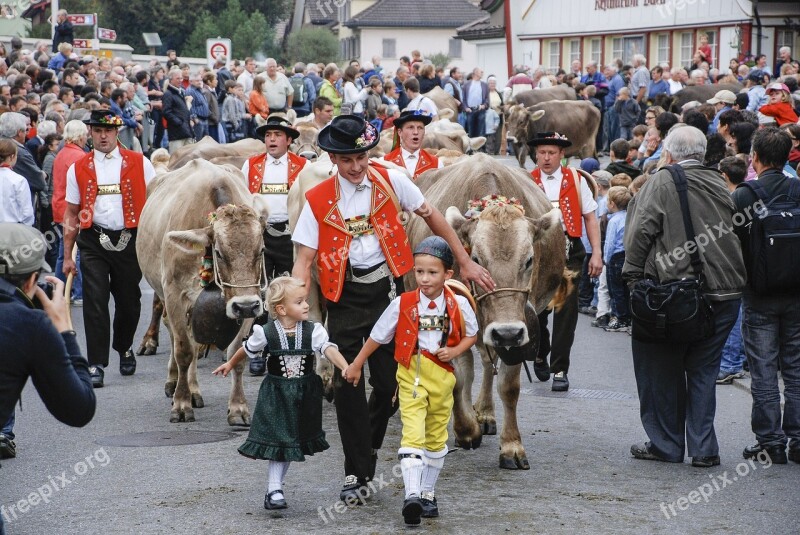 The Cattle Market The Cow Appenzell Switzerland In The Tradition Of The