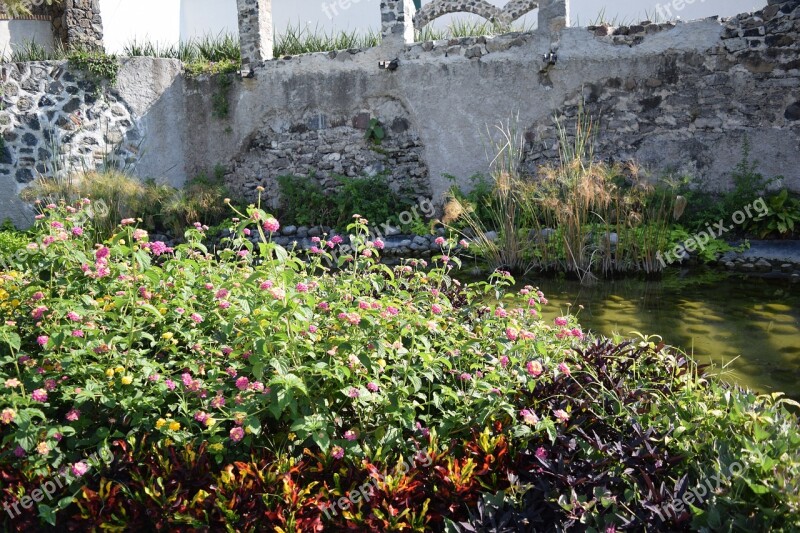 Nature Water Flowers Creek White Wall